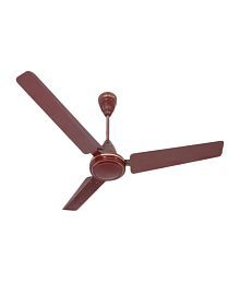 Havells 1200 mm Pacer Ceiling Fan Brown