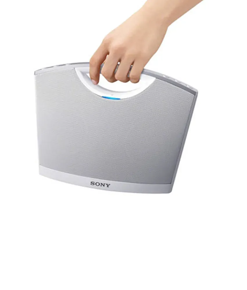 Sony best sale srs btm8