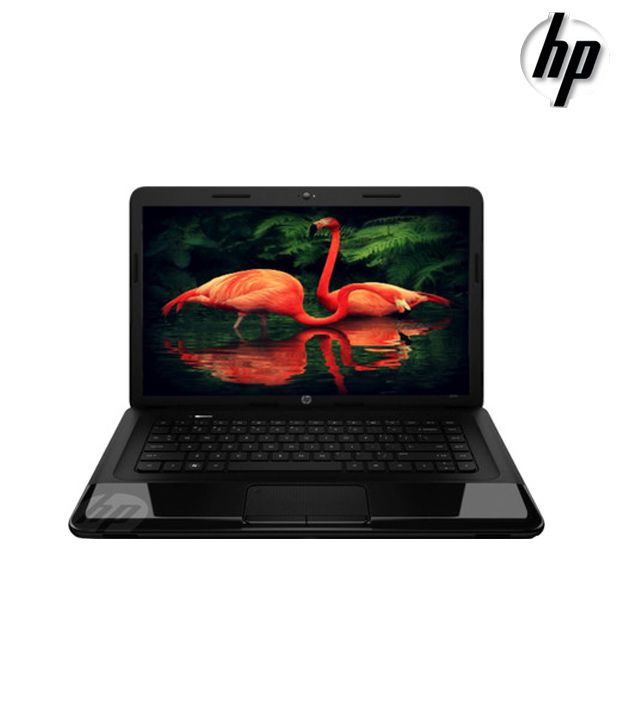 how to download zoom to hp laptop