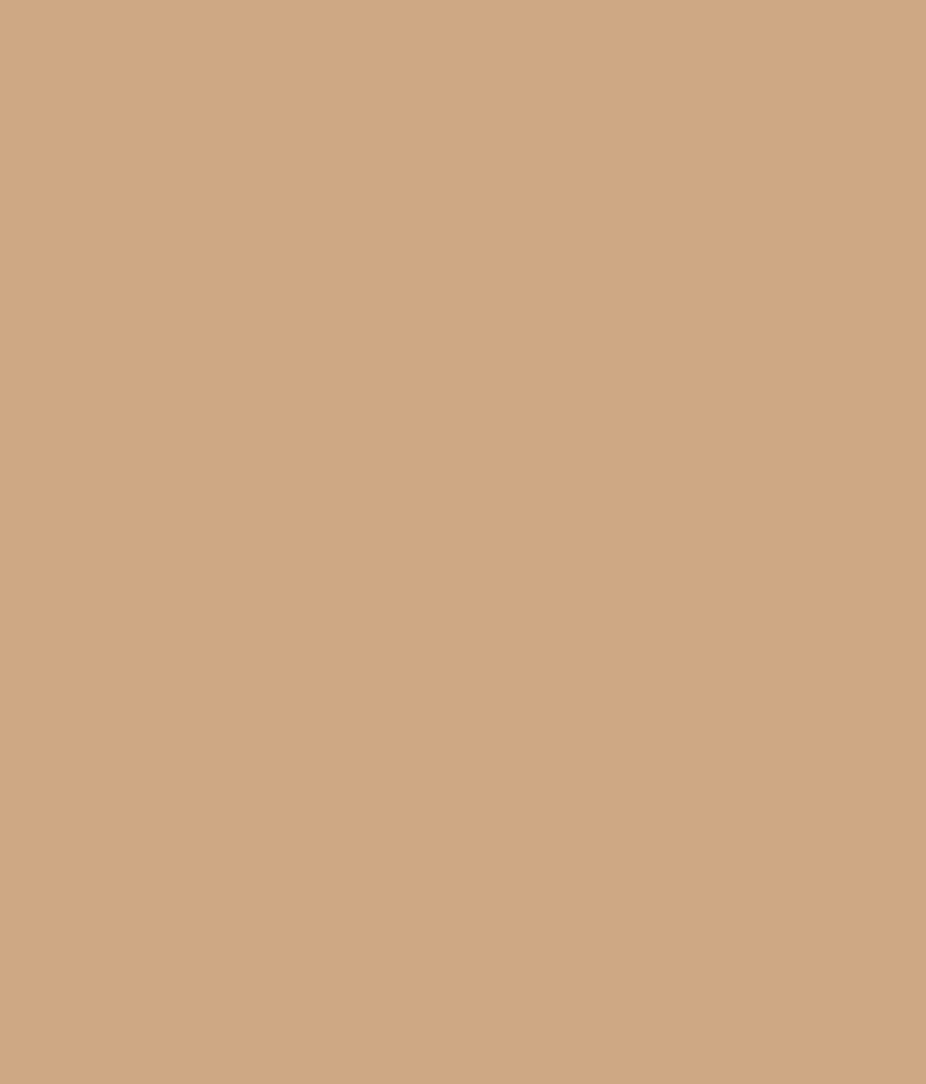 sandstone color Paints Apcolite   Gloss Asian Premium Sandstone Enamel Buy