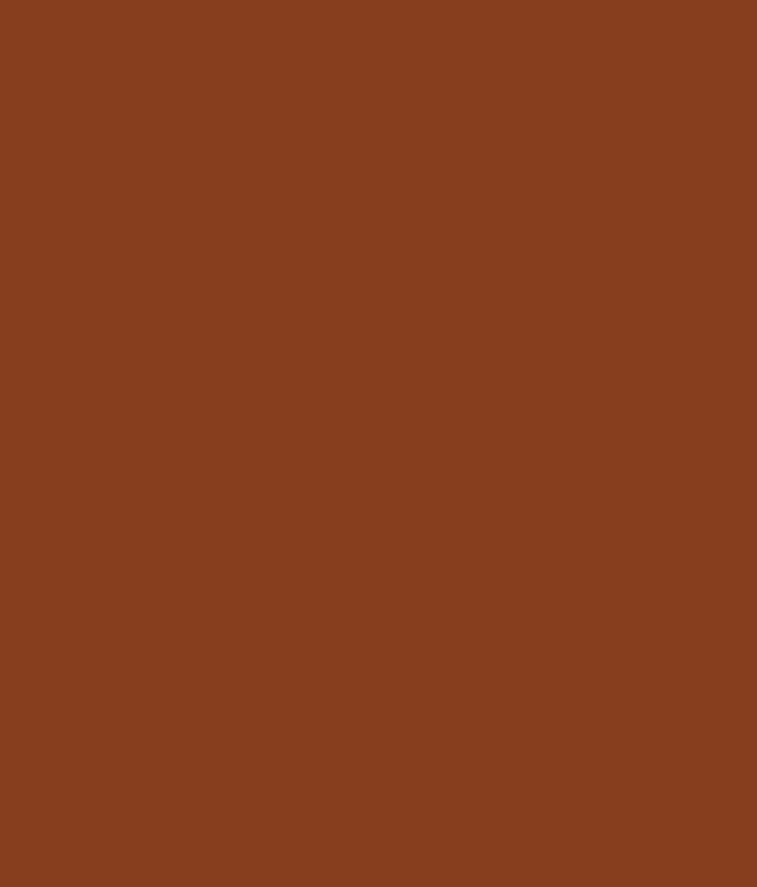 Shalimer Mela Synthetic Enamel New Golden Brown Online At Low Shalimer Mela Synthetic Enamel New Golden Brown Online At Low Price In India Snapdeal