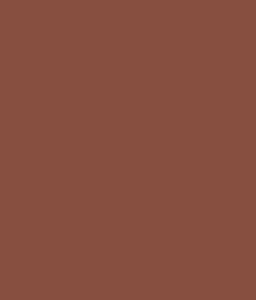 Buy Asian Paints Apex Ultima - Nut Brown-n Online at Low Price in India