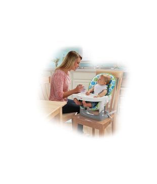 Fisher Price Signature Style Spacesaver High Chair Bfg97 Buy