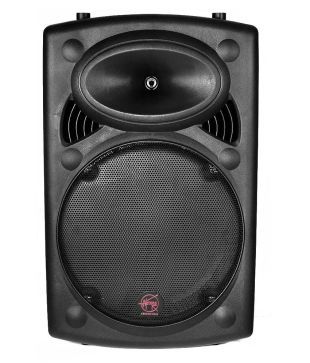 aerons speakers 12 inch