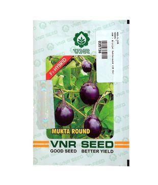 Vnr Brinjal Muktaround Seeds 10 Gm Buy Vnr Brinjal Muktaround Seeds 10 Gm Online At Low Price Snapdeal