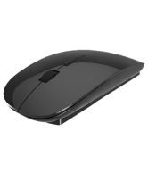 Terabyte Sleek Black Wireless Mouse