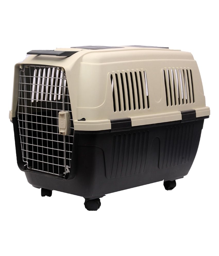 large plastic pet carrier