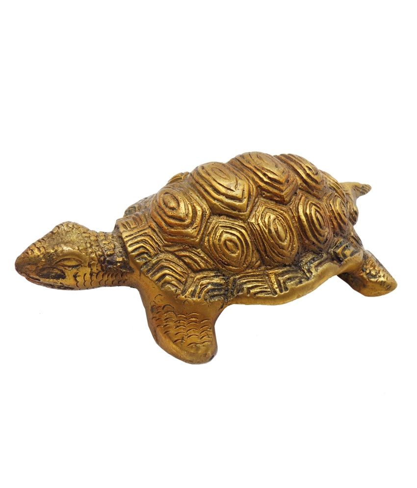 Golmaalshop Lucky Tortoise: Buy Golmaalshop Lucky Tortoise at Best ...