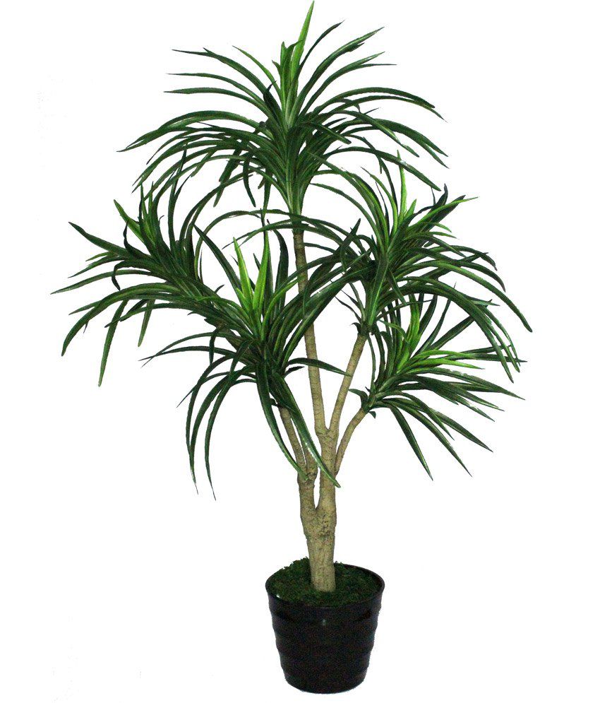 Pollination Green Yucca Artificial Plant With Pot: Buy Pollination ...