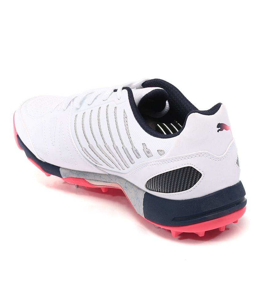 puma evo sport