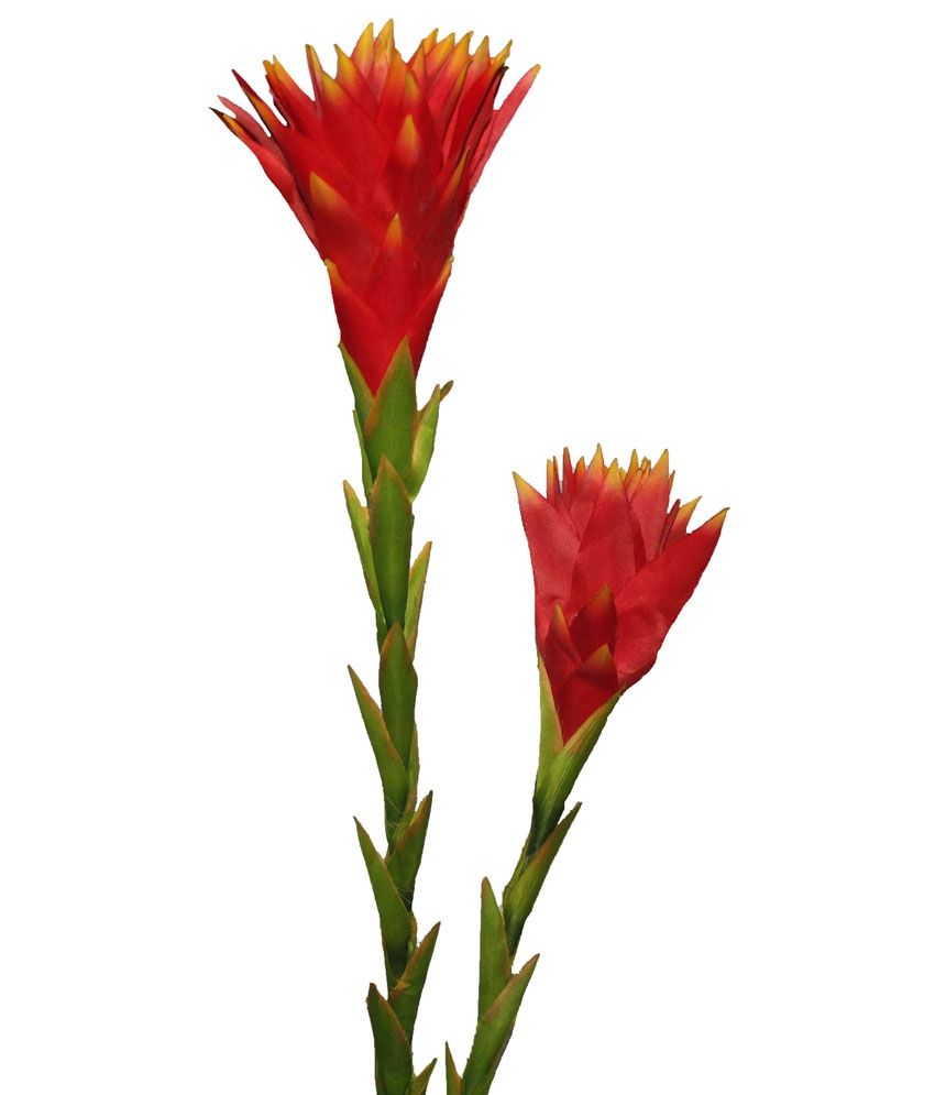 Pollination Orange Large Protea Artificial Flowers Set Of 2 Buy