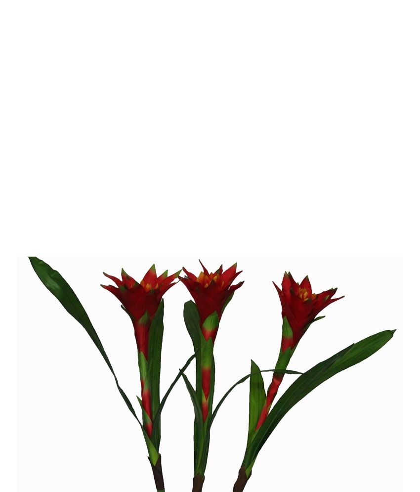 Pollination Red Small Protea Artificial Flowers Set Of 3