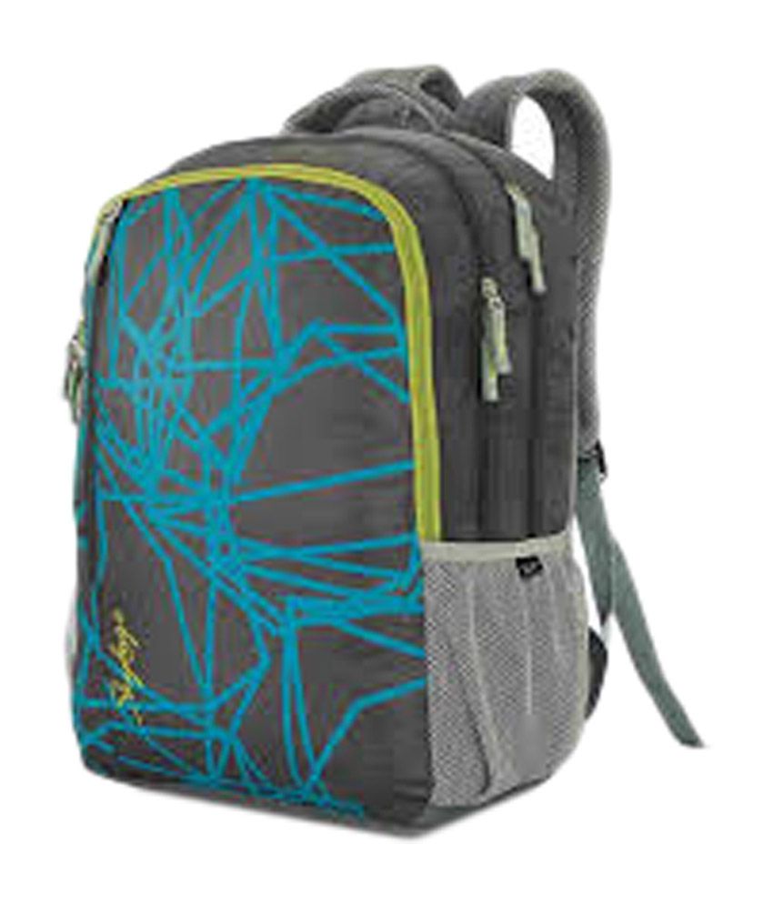 Skybags Gray and Blue Backpack - Buy Skybags Gray and Blue Backpack Online at Best Prices in ...
