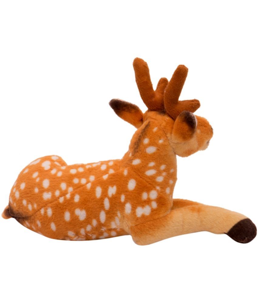 teddy deer