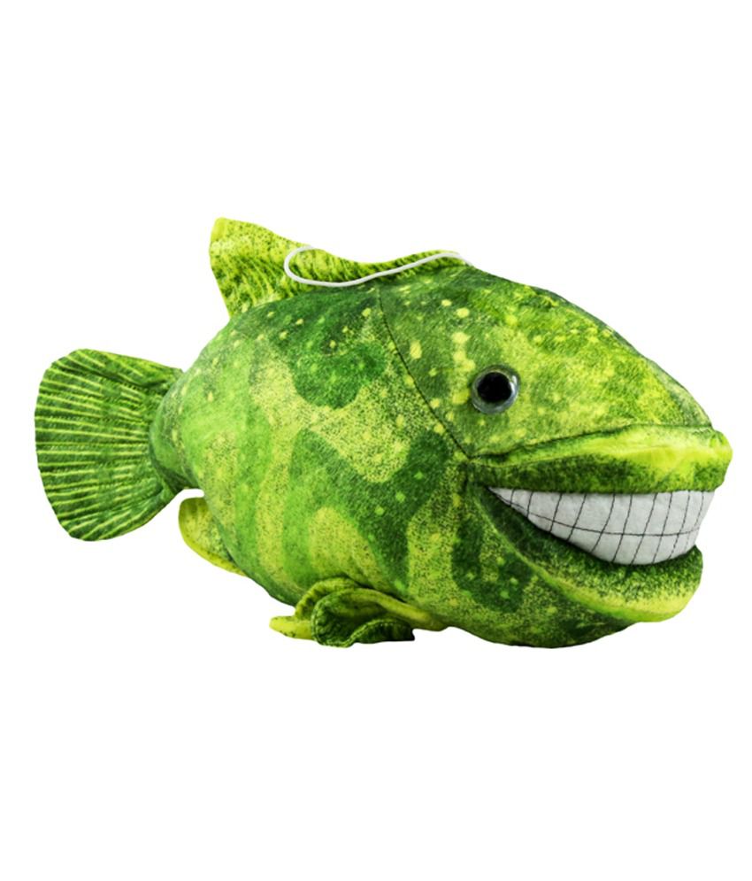 O Teddy Bear Laughing Fish - Buy O Teddy Bear Laughing Fish Online at ...