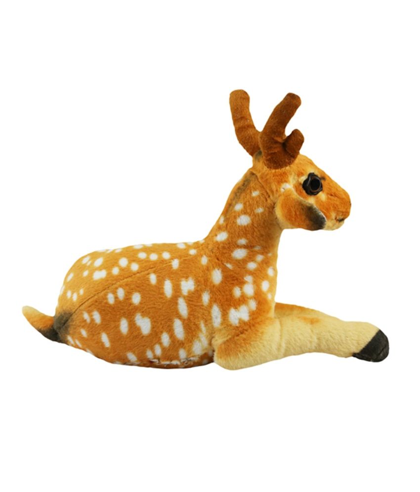 teddy deer