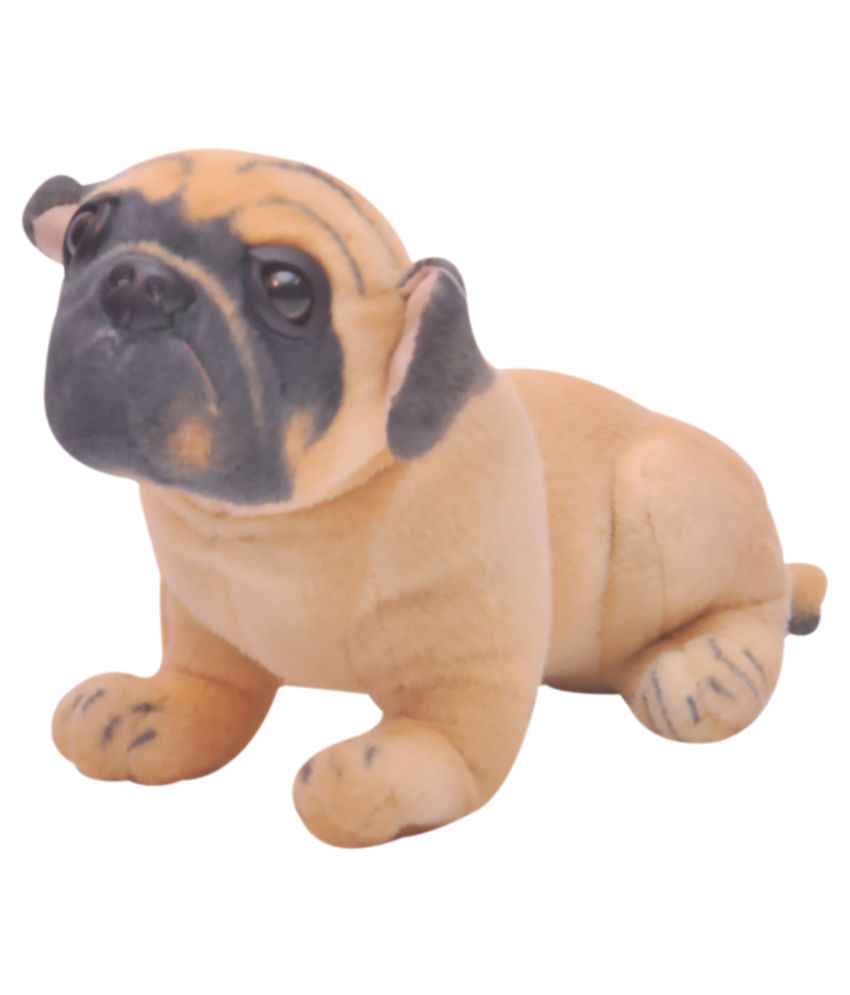 small pug teddy