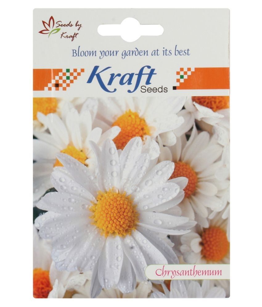 Kraft Seeds Chrysanthemum Seeds Buy Kraft Seeds Chrysanthemum Seeds
