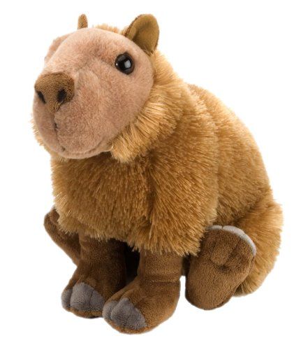 cuddlekin