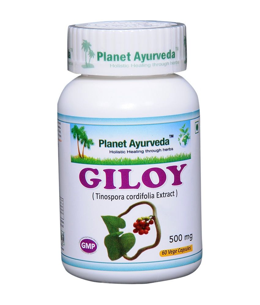 Ayurveda Giloy Capsules Capsule 60 no.s Pack Of 1 Buy Ayurveda Giloy Capsules