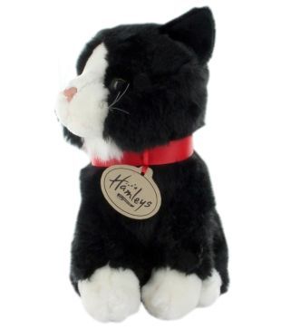 hamleys cat soft toy