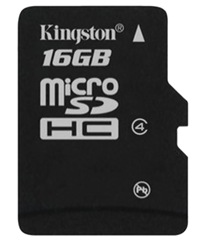     			Kingston 16 GB Class 4 Memory Card