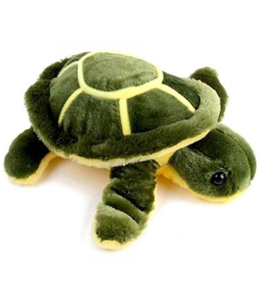 Jasu Green Turtle - Buy Jasu Green Turtle Online at Low Price - Snapdeal