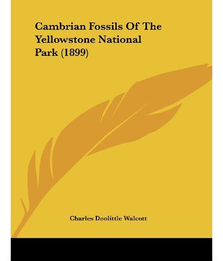 Cambrian Fossils of the Yellowstone National Park (1899) Buy Cambrian
