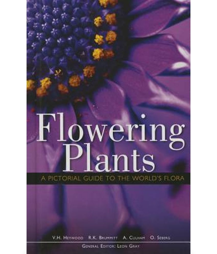 Flowering Plants Buy Flowering Plants Online at Low Price in India on