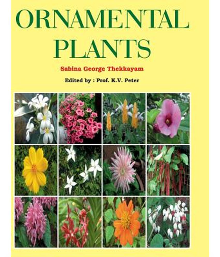 Ornamental Plants Buy Ornamental Plants Online At Low