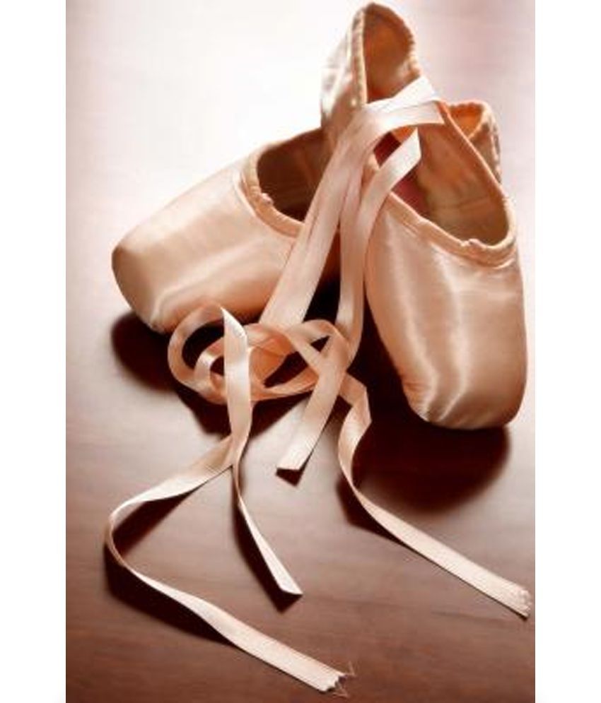 The Ballet Shoes Journal 150 Page Lined Notebook/Diary Buy The Ballet