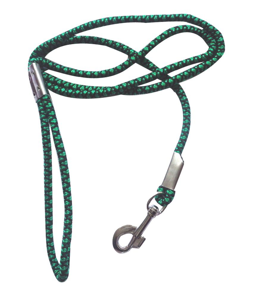     			S R Traders Green Nylon Pet Collar And Leash Set