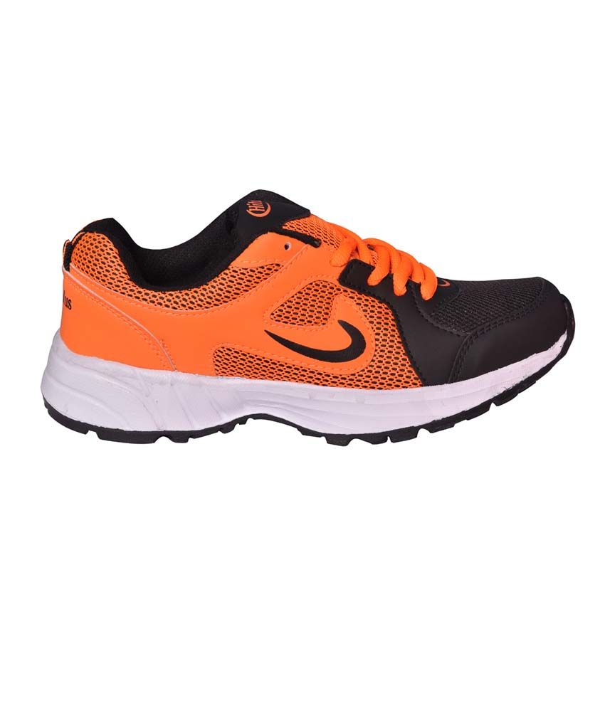 hitcolus sports shoes price