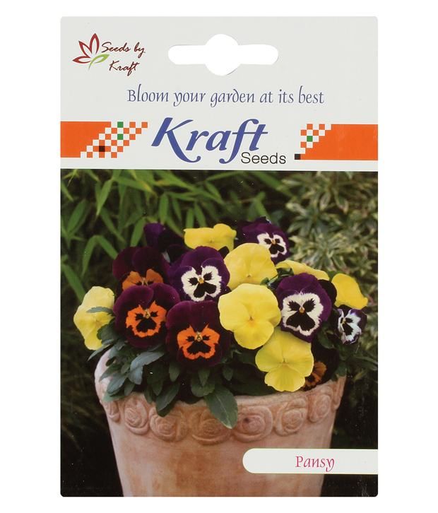 Kraft Seeds Pansy Thriller Mix Flower Buy Kraft Seeds Pansy Thriller