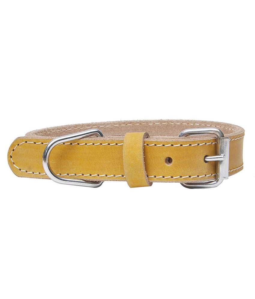 Hawai Yellow Leather Dog Collar/Dog Belt / Dog Chain (Premium): Buy ...