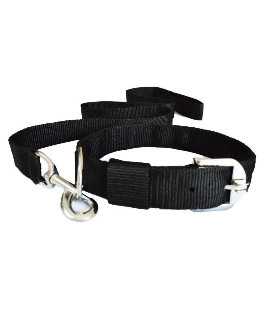     			Pawzone Black Leash with Collar Set for Dogs - Medium (Dog Belt)