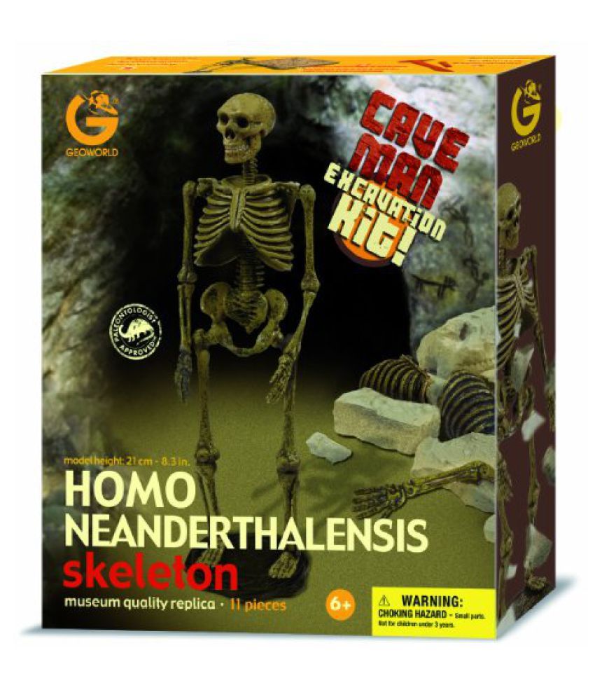 skeleton excavation kit