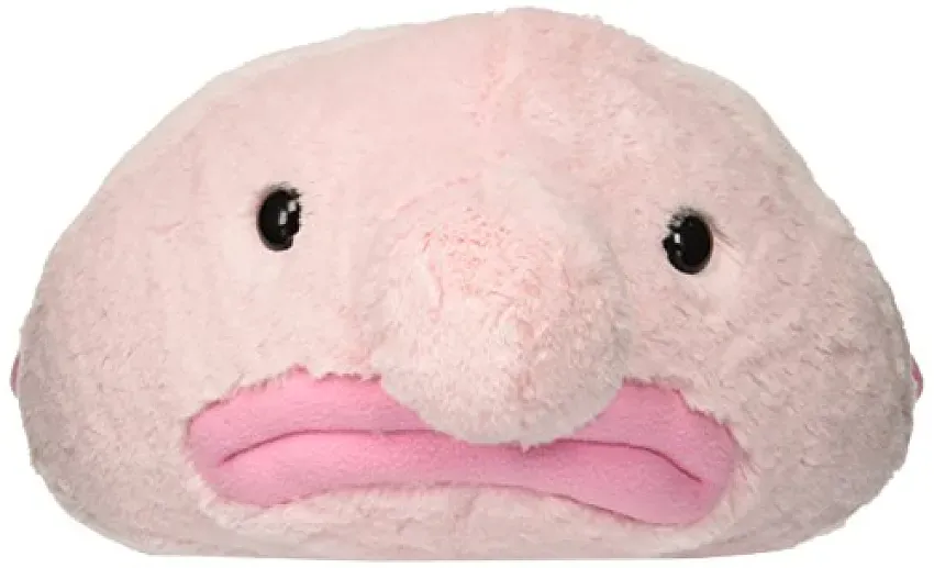 stuffed blobfish plush