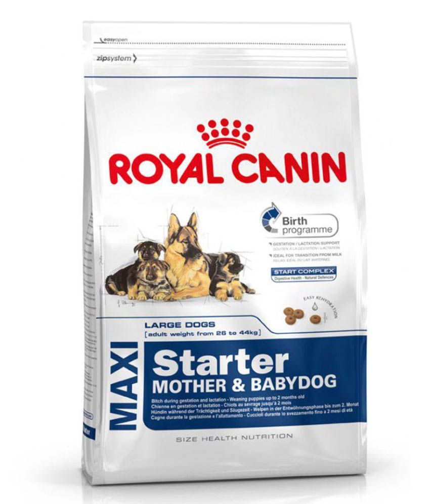     			Royal Canin Maxi Starter Mother & Baby Dog 15 Kg