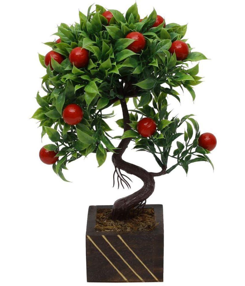 Hyperboles Assorted Flowers With Pot Multicolour Buy Hyperboles