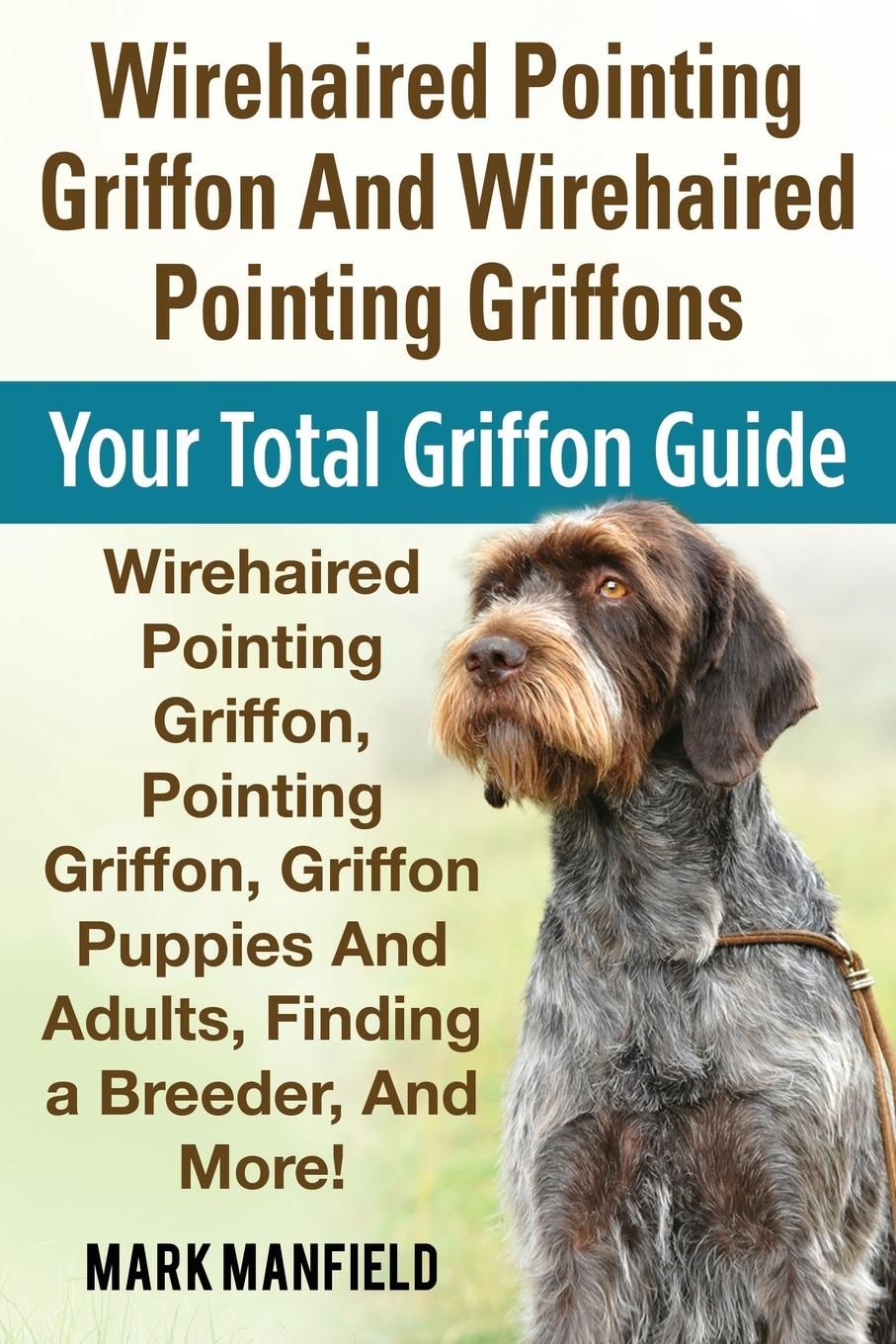 wirehaired pointing griffon georgia