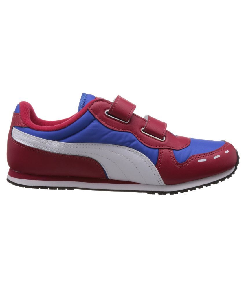 multi colored puma