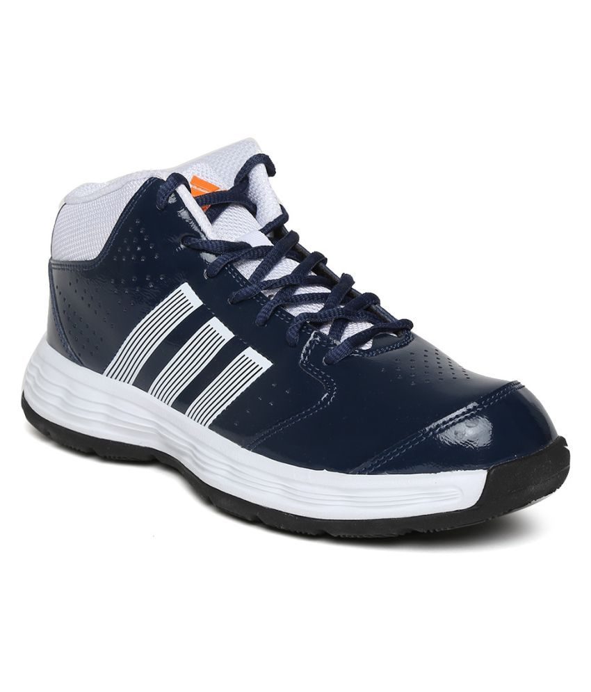basketshoes