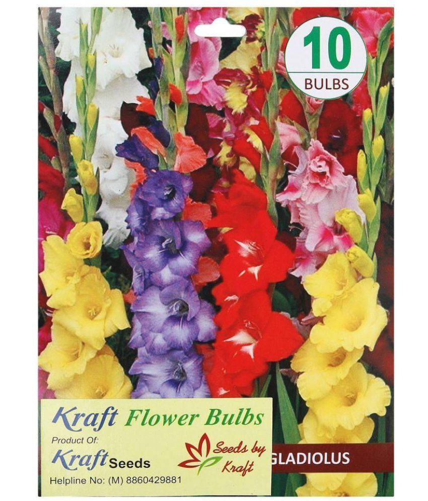 Kraft Seeds Flower Seeds Buy Kraft Seeds Flower Seeds Online at Low