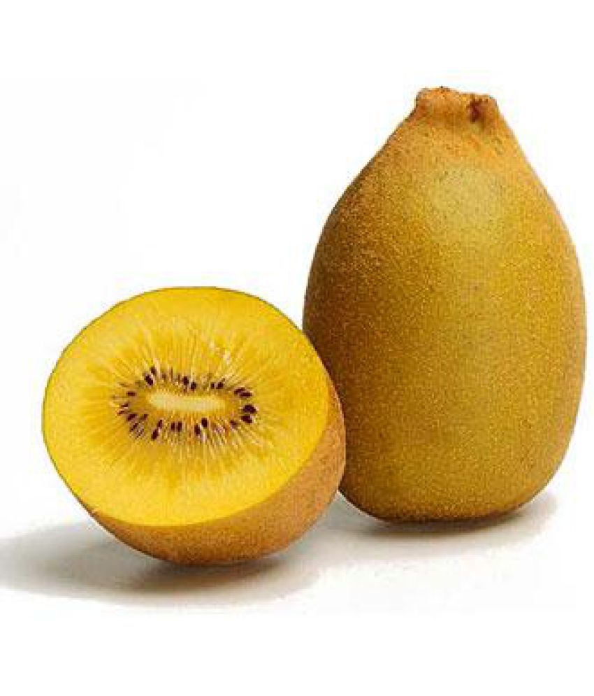     			National Gardens Golden Kiwi Fruit Fruit Seeds