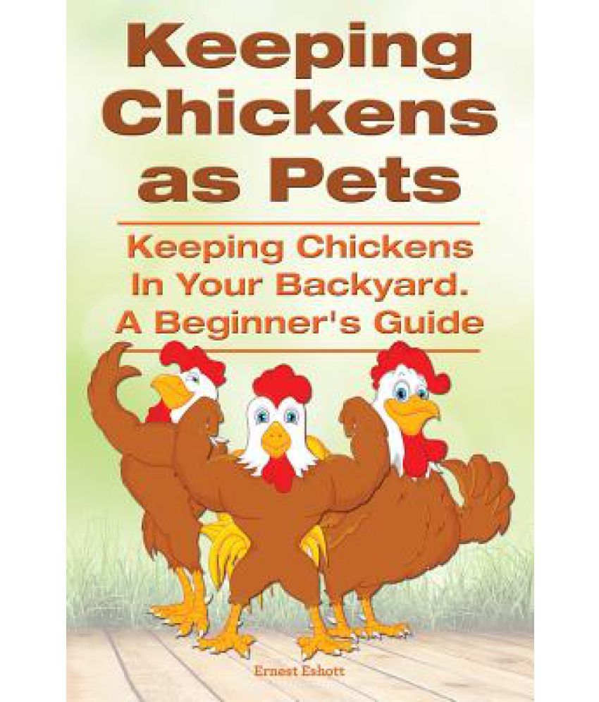 Keeping Chickens as Pets. Keeping Chickens in Your Backyard. a Beginner