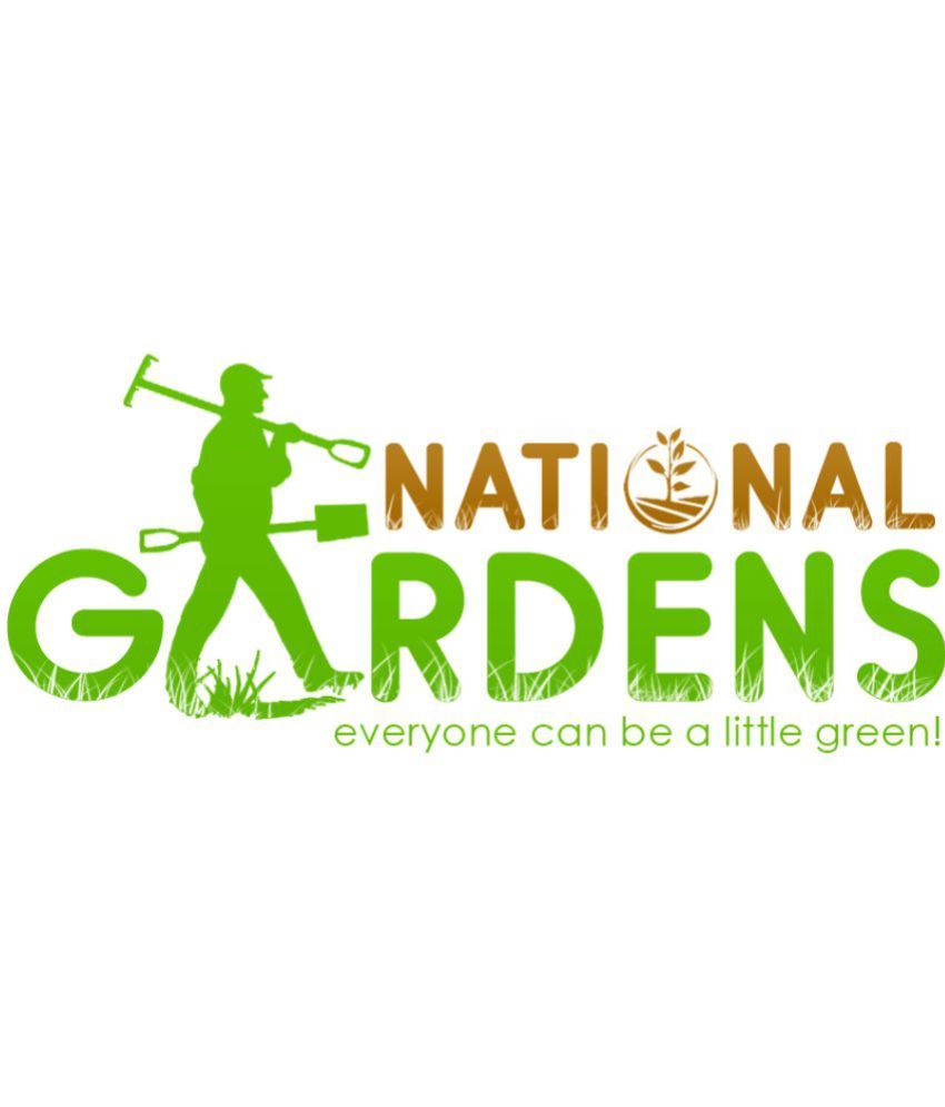 National Gardens Tape Grass Aquatic Plant Tree Seeds Buy National Gardens Tape Grass Aquatic