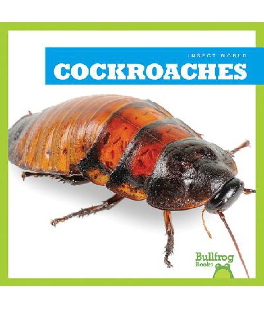 Cockroaches Buy Cockroaches Online at Low Price in India on Snapdeal