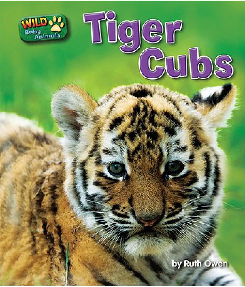 Tiger Cubs: Buy Tiger Cubs Online at Low Price in India on Snapdeal