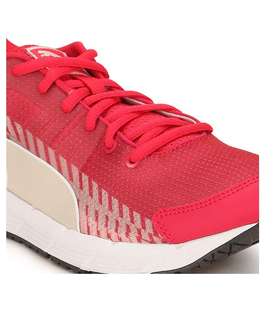 puma order